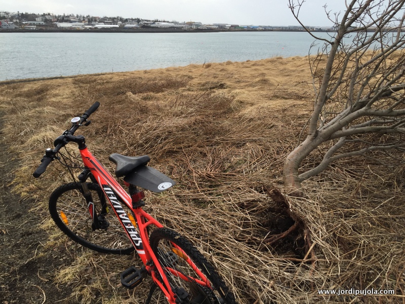 Biking Reykjavik is like dealing with life. Our lives are a kind of test that we can´t avoid.