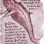 Drawing-of-a-blue-whale-from-an-Icelandic-17thcentury-manuscript-with-observations-on