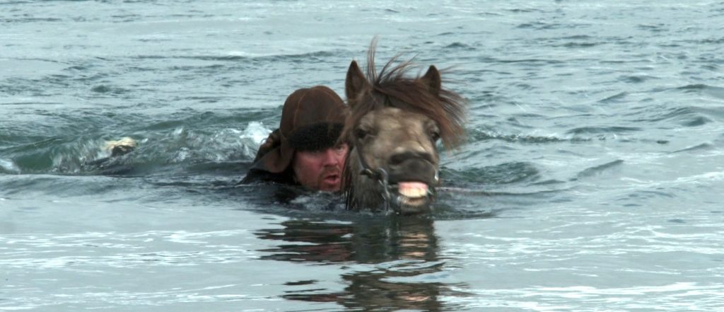 Man swimming with a horse in Iceland